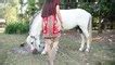 teen fucked by horse|Wonderful Beautiful Girl and Cute Horse Making Love